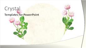  Presentation with flower vintage - Presentation theme having round-retro-card-with-wild background and a cream colored foreground