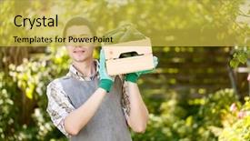  Presentation with agronomist - PPT theme with round shoulder - agronomist with box of cucumbers background and a yellow colored foreground