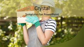  Presentation with tomato tissue culture - Amazing PPT layouts having round shoulder - brunette in hat with tomato backdrop and a yellow colored foreground