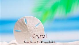  Presentation with sand ocean - Slide set with round starfish on white sand beach with ocean sky and seascape background and a lemonade colored foreground