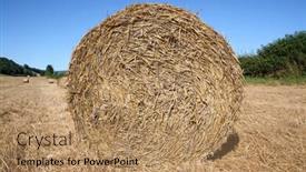  Presentation with straw bale - 