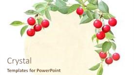  Presentation with cherry - Cool new presentation theme with round-vintage-card-with-cherry backdrop and a cream colored foreground