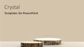  Presentation with minimal - Theme having round-wooden-saw-cut-cylinder background and a soft green colored foreground