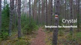  Presentation with route - Cool new slides with route-hiking-mark backdrop and a dark gray colored foreground