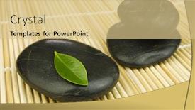  Presentation with alternative - PPT theme enhanced with zen pebbles and a young background and a lemonade colored foreground