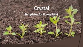  Presentation with soil - PPT theme with row in the soil background and a dark gray colored foreground