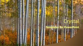  Presentation with colorado - Presentation theme with row of aspen trees in autumn time near marble colorado background and a tawny brown colored foreground