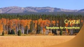  Presentation with pine trees - Beautiful PPT theme featuring row of aspen trees backdrop and a tawny brown colored foreground