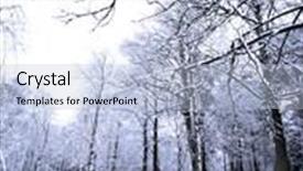  Presentation with peaceful - Cool new presentation design with row of benches covered in powdery soft snow forming a perfect quiet and peaceful wintry scene backdrop and a light blue colored foreground