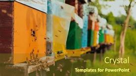  Presentation with blue yellow - Slides having row-of-blue-and-yellow background and a  colored foreground