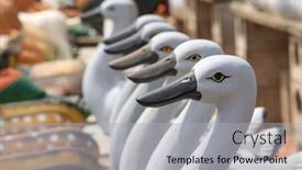  Presentation with rural india - Slide set enhanced with row-of-clay-molded-swans background and a light gray colored foreground