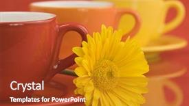  Presentation with yellow color - Amazing slide deck having row of color cups and beautiful yellow gerbera selective focus backdrop and a tawny brown colored foreground