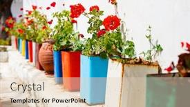  Presentation with flower pots - PPT layouts having row-of-colorful-flower-pots background and a lemonade colored foreground