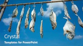  Presentation with sky sun - Colorful presentation theme enhanced with row-of-dried-fish-hung backdrop and a teal colored foreground