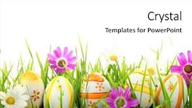  Presentation with daisy - Presentation theme having pointer the price tag lies on hibiscus with space for your text background and a dark gray colored foreground