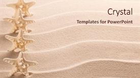  Presentation with starfish - Audience pleasing presentation design consisting of row of four starfish between the lines of the rippled beach sand backdrop and a lemonade colored foreground