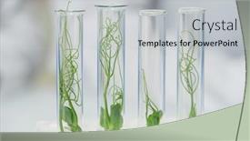  Presentation with flasks - Presentation design with row-of-four-transparent-flasks background and a light gray colored foreground