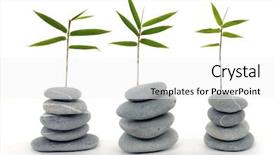  Presentation with zen stone - PPT theme having row of fresh bamboo leaves with zen stone background and a white colored foreground