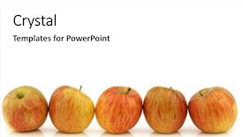  Presentation with fresh ginger root on white - Colorful presentation design enhanced with startup business young creative people group brainstorming on team meeting at modern office interior using laptop tablet and smartphone computer to note ideas plans and projects backdrop and a light gray colored foreground