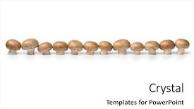  Presentation with mushrooms - Audience pleasing presentation theme consisting of row of fresh raw chestnut backdrop and a white colored foreground