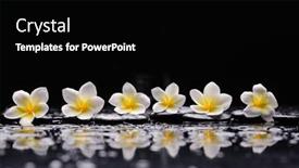  Presentation with zen - PPT layouts with row-of-gardenia-and-zen background and a black colored foreground