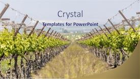  Presentation with napa - 