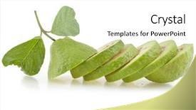  Presentation with guava fruits - Cool new PPT layouts with row of guava isolated backdrop and a white colored foreground