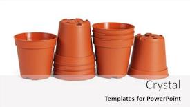  Presentation with flower pots - Colorful presentation design enhanced with row-of-mini-plastic-flower backdrop and a light gray colored foreground