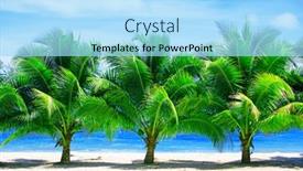  Presentation with palm beach - PPT theme with row-of-palm-trees background and a light blue colored foreground