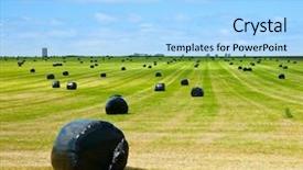  Presentation with hay field - Slide deck consisting of row of plastic wrapped hay bales on a field with farm in background background and a light blue colored foreground