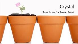  Presentation with terra - Audience pleasing PPT theme consisting of row of terra cotta flower pots with a young plant - gardening concept backdrop and a white colored foreground