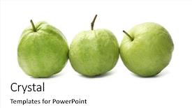  Presentation with guava fruits - Beautiful presentation theme featuring row of three guava fruits backdrop and a white colored foreground