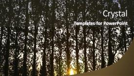  Presentation with trees - Amazing slides having row-of-trees-at-sunset backdrop and a tawny brown colored foreground