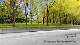  Presentation with pavement - Slide deck having row of trees beside pavement background and a light gray colored foreground