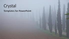  Presentation with trees - Cool new presentation design with row pf cypress trees fading backdrop and a lemonade colored foreground