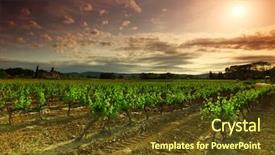  Presentation with orange and grey - Slide deck with rowing afternoon - orange sky over green vineyard background and a tawny brown colored foreground