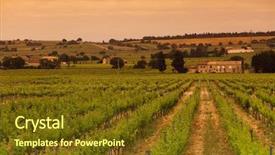  Presentation with rowing - Colorful slide set enhanced with rowing afternoon - orange sky over green vineyard backdrop and a tawny brown colored foreground