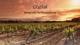  Presentation with technology orange and grey - PPT theme having rowing afternoon - orange sky over green vineyard background and a coral colored foreground