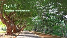  Presentation with pathway - Theme enhanced with rowing afternoon - pathway runs along the rows background and a tawny brown colored foreground