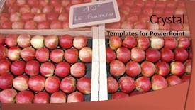  Presentation with red apple tree - Theme having rows of fresh red apples background and a  colored foreground