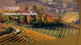  Presentation with vineyards - PPT layouts having rows of multicolored autumnal vineyards on the hill of piedmont northern italy background and a tawny brown colored foreground