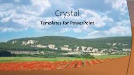  Presentation with poppies - PPT layouts consisting of rows-of-poppies-flowers background and a light blue colored foreground