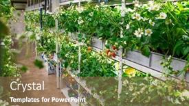  Presentation with vertical farm - Slide deck having rows-of-seedlings-of-various background and a coral colored foreground