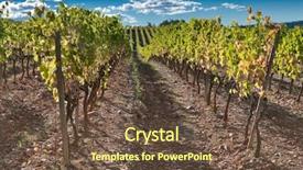  Presentation with vine - Presentation design having rows of vine on clear summer day catalonia spain background and a tawny brown colored foreground