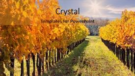  Presentation with tuscany - Beautiful slide deck featuring rows of vineyard in wine backdrop and a gold colored foreground