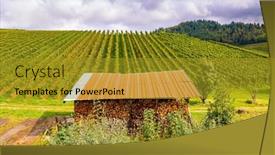  Presentation with magic - PPT theme enhanced with rows-of-vineyards background and a gold colored foreground