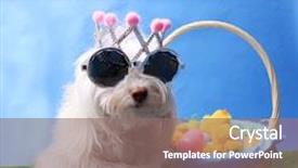  Presentation with easter - Cool new presentation theme with royal family - easter dog portrait a beautiful backdrop and a  colored foreground