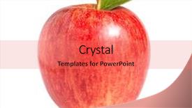  Presentation with gala - Presentation having royal gala apple isolated background and a coral colored foreground