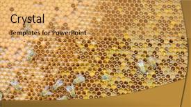  Presentation with royal - Slide set featuring royal jelly - hive background and a yellow colored foreground