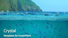  Presentation with royal - PPT theme enhanced with royal marines - fish background and a teal colored foreground